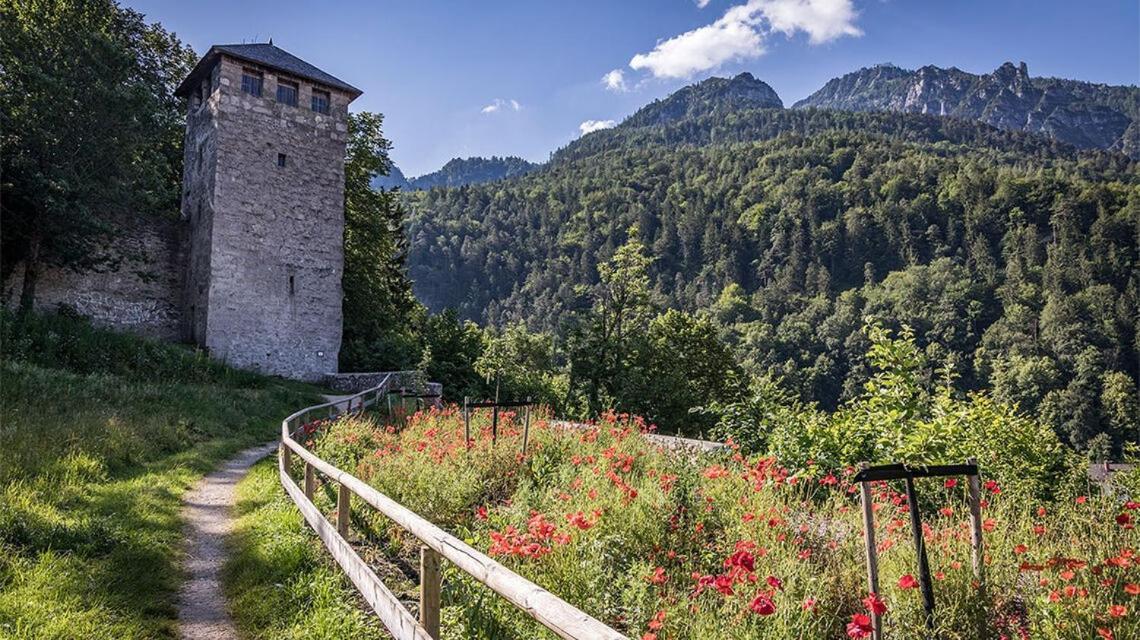 Ferienwohnungen Brigitte In Der Altstadt Bad Reichenhall Esterno foto
